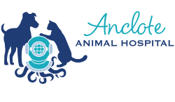 Anclote Animal Hospital