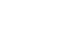 Anclote Animal Hospital